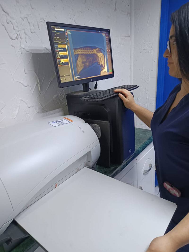 Radiografía Digital